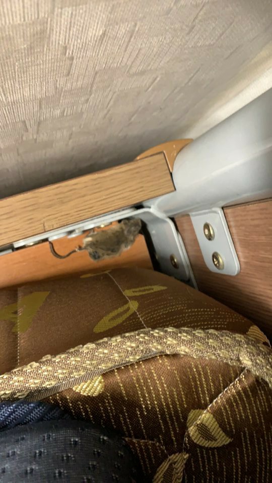 교육위, 행정사무감사...과학고 기숙사 쥐 사체 등 발견 3