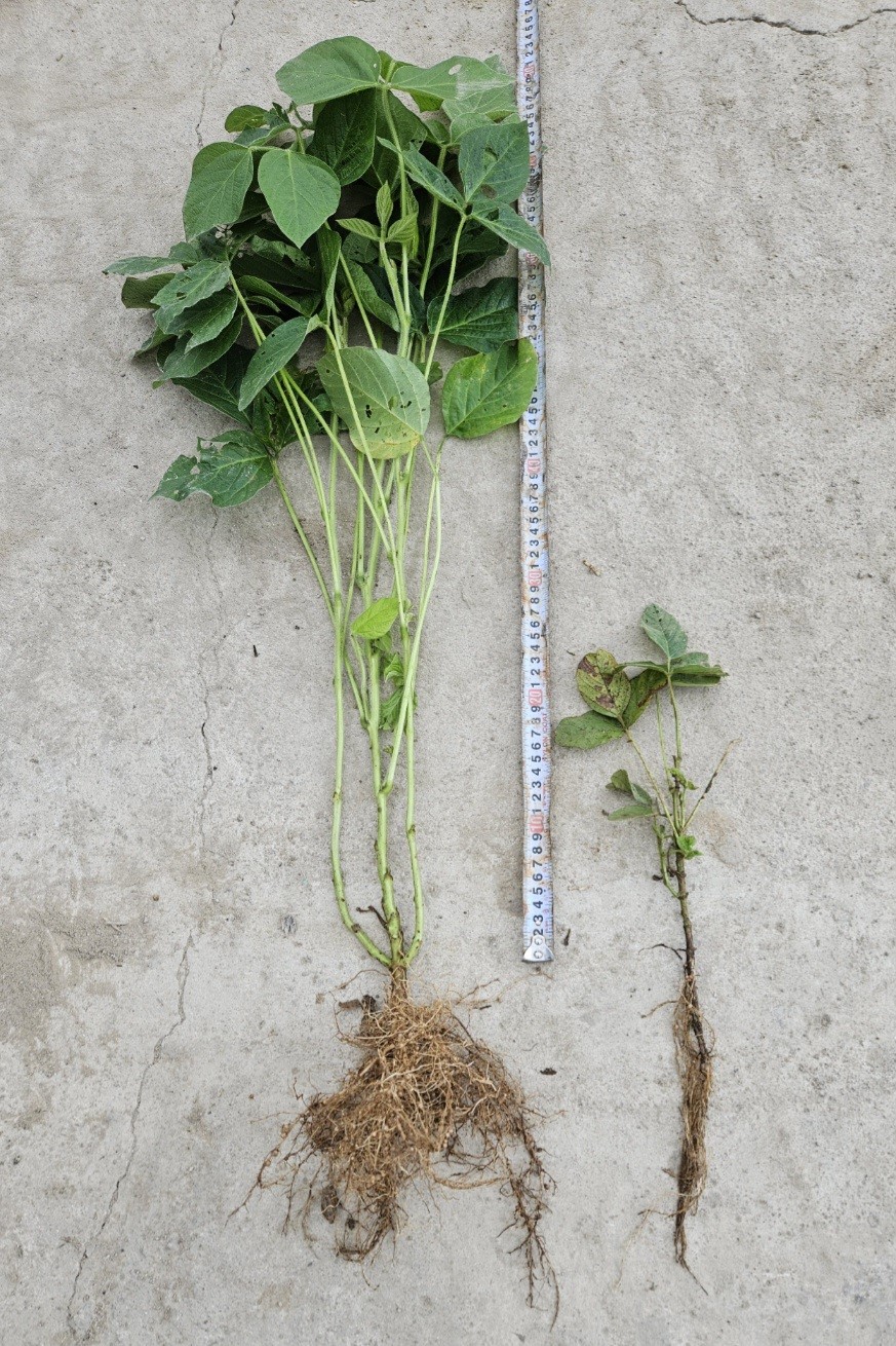 김정기 의원, 정부 권장 전략작물 재배 피해 농가 지원 촉구 2