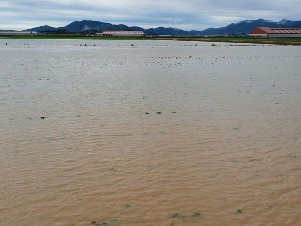 김정기 의원, 정부 권장 전략작물 재배 피해 농가 지원 촉구 3