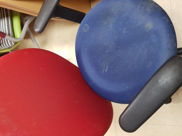 교육위, 행정사무감사...과학고 기숙사 쥐 사체 등 발견 2