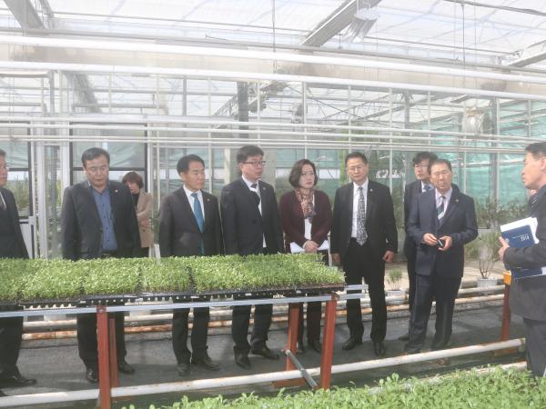 농산경위 현지의정활동, 신소득작목 개발과 농산물 규모화로 농가소득 향상 주문 4