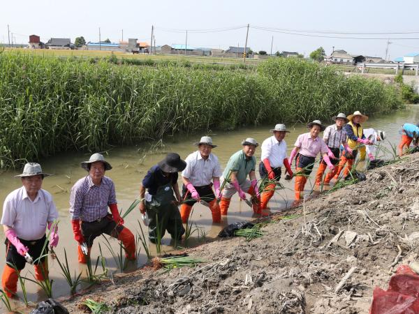 새만금수질개선연구회, 새만금 유역 하천 수질 정화활동 펼쳐 3