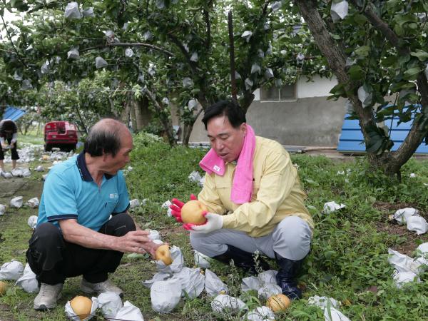 최진호 도의장,태풍 볼라벤 피해 현장 속으로 2