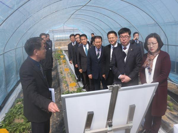 농산경위 현지의정활동, 신소득작목 개발과 농산물 규모화로 농가소득 향상 주문 3